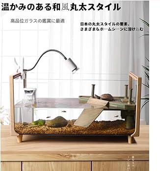 りくがめ Amazon | JOGIO亀 水槽 大きい 透明 リクガメ ケージ カメの生息